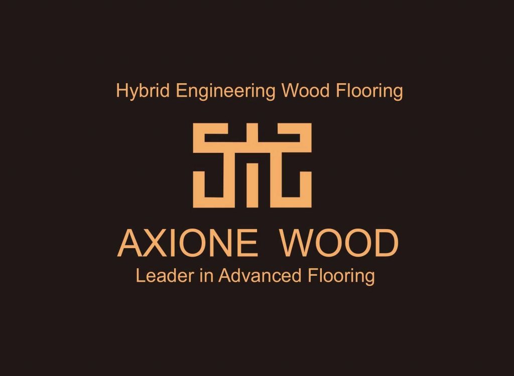 axione logo original with black bg