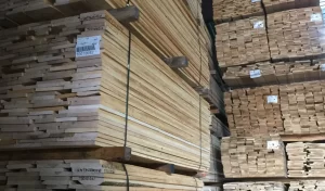 Parquet Flooring 2